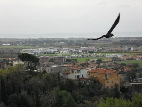 Bed and Breakfast Al Castello Тарквиния Экстерьер фото